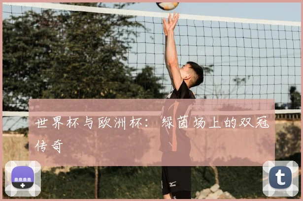 世界杯与欧洲杯:绿茵场上的双冠传奇