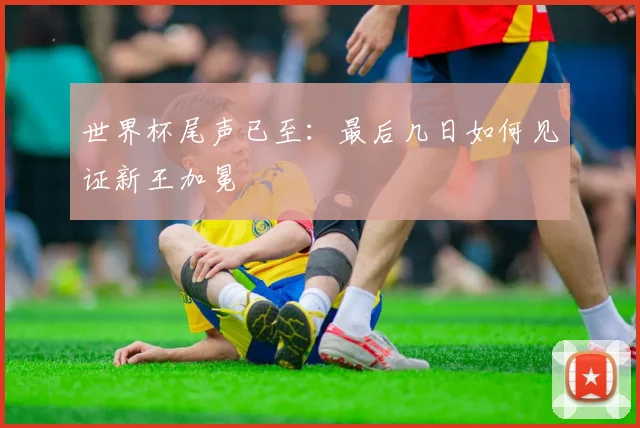 世界杯尾声已至：最后几日如何见证新王加冕