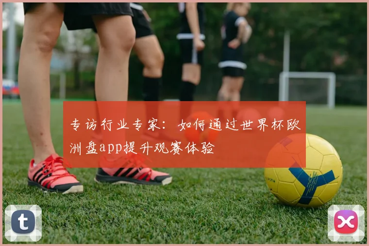 专访行业专家:如何通过世界杯欧洲盘app提升观赛体验