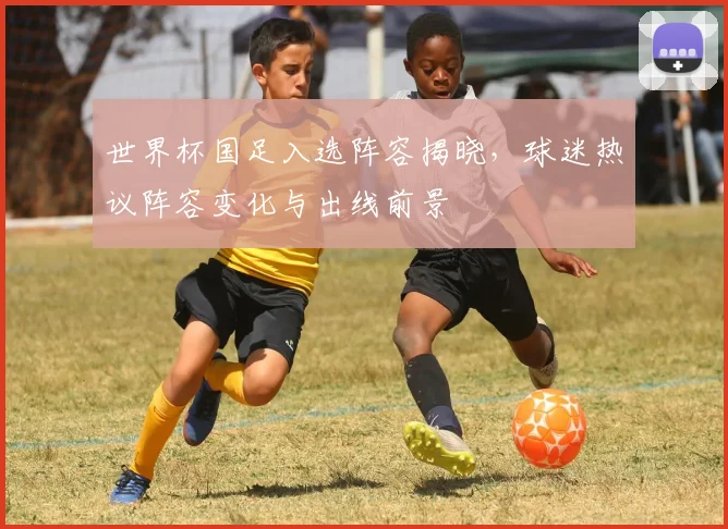 世界杯国足入选阵容揭晓,球迷热议阵容变化与出线前景