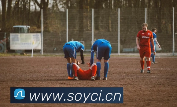 多媒体互动体验